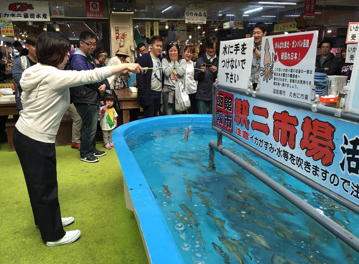 函館朝市活烏賊釣堀體驗