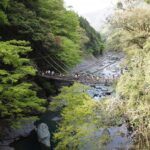 祖谷藤蔓橋完整指南｜門票・交通・排隊與琵琶瀑布路線