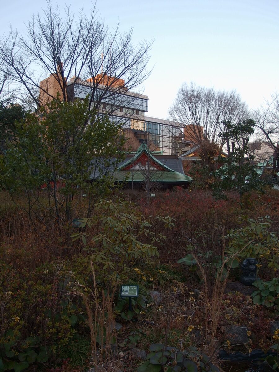 神田明神朱紅御神殿與境內