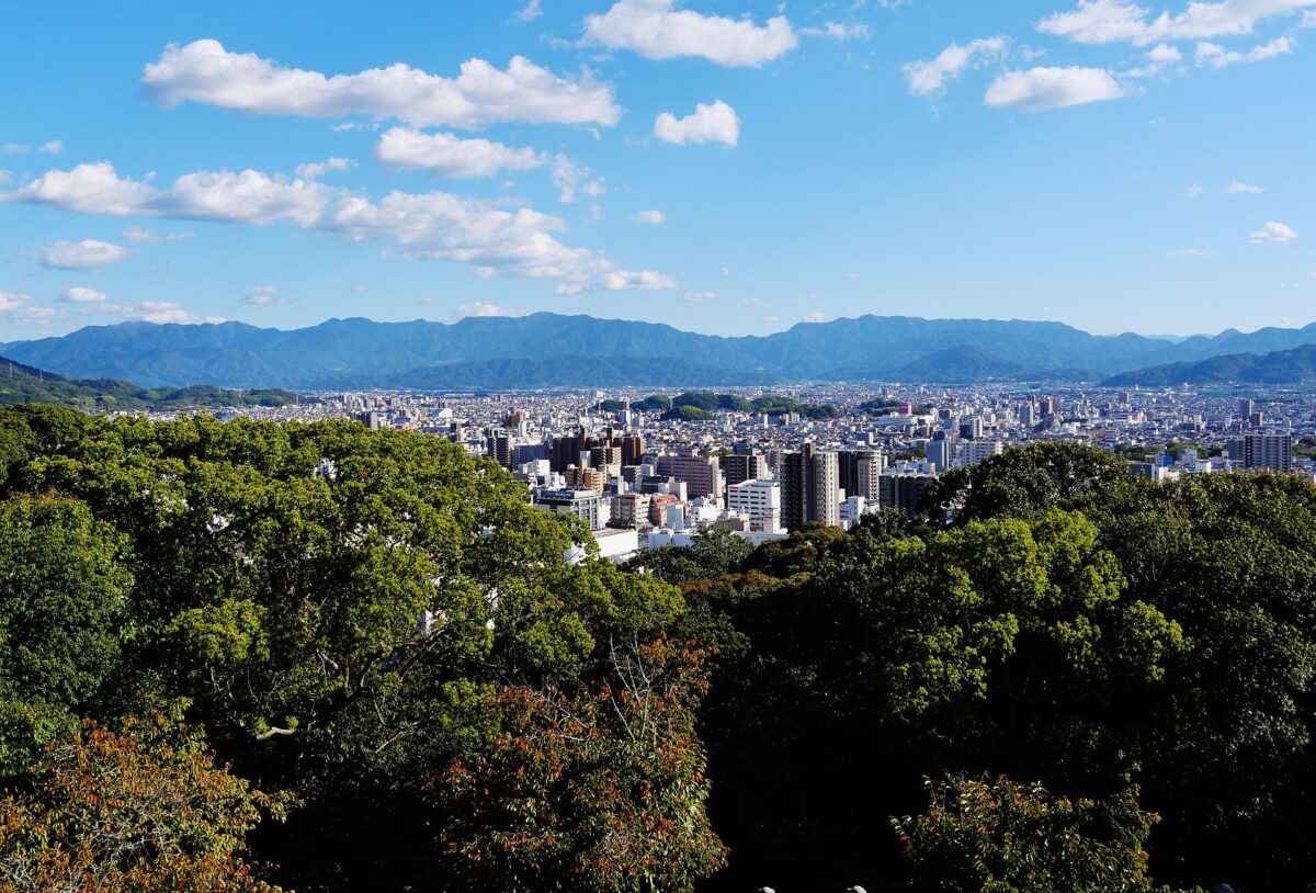 從松山城本丸眺望松山市街