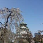 大阪城完整指南｜大手門・天守閣・西之丸庭園3小時路線