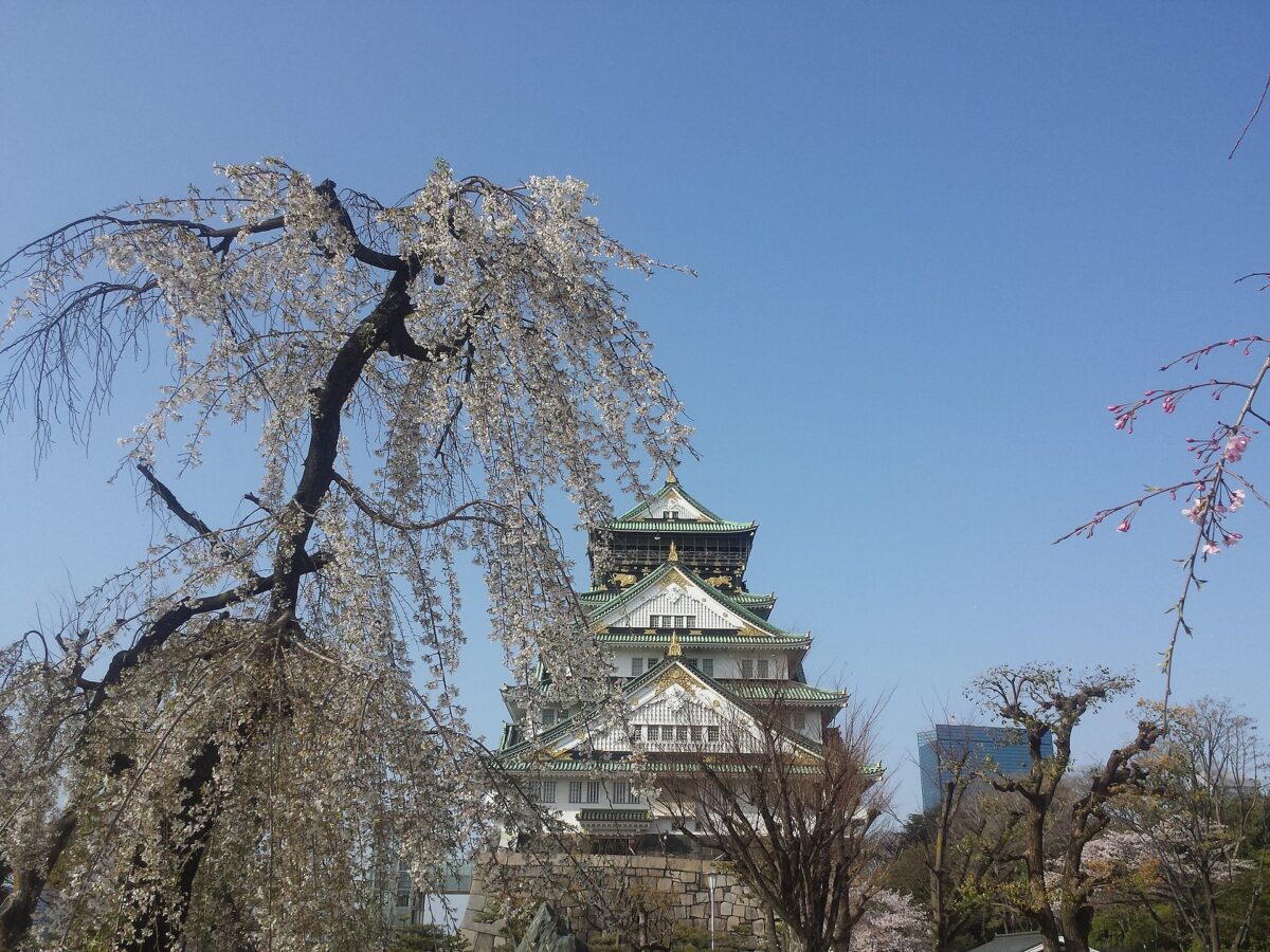 春季櫻花與大阪城天守閣