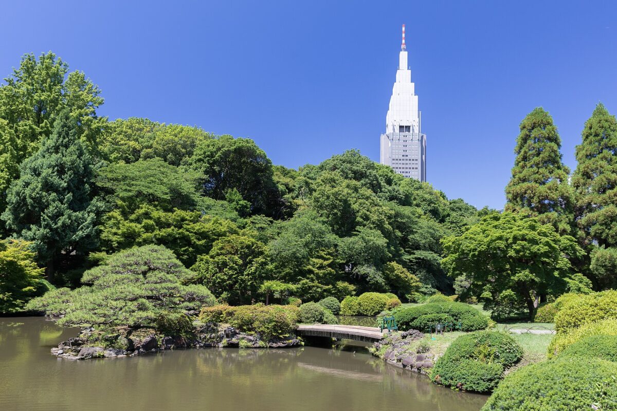 新宿御苑池畔、木橋與代代木城市景觀