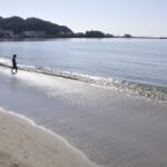 逗子海水浴場2026完整指南|開放期間・交通・親子玩水