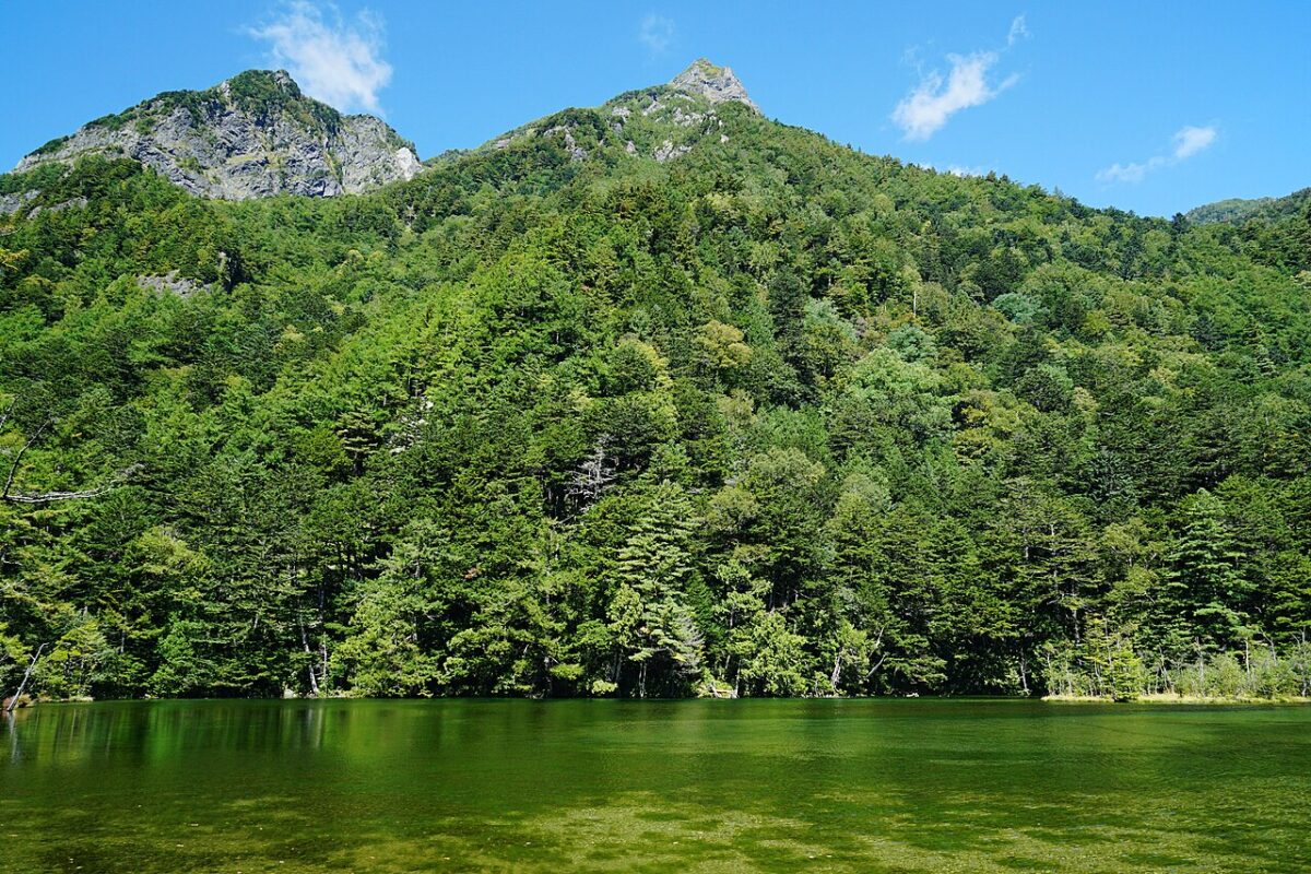 明神池水面