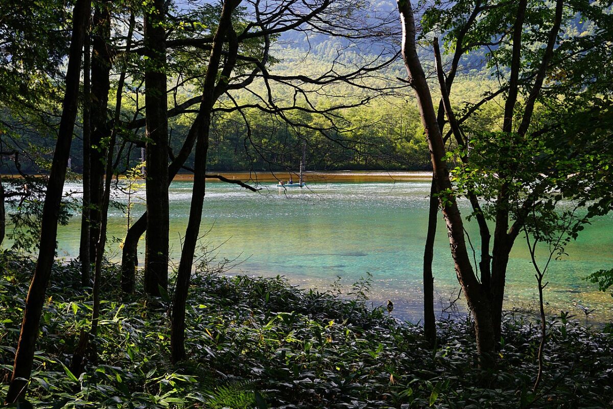 大正池