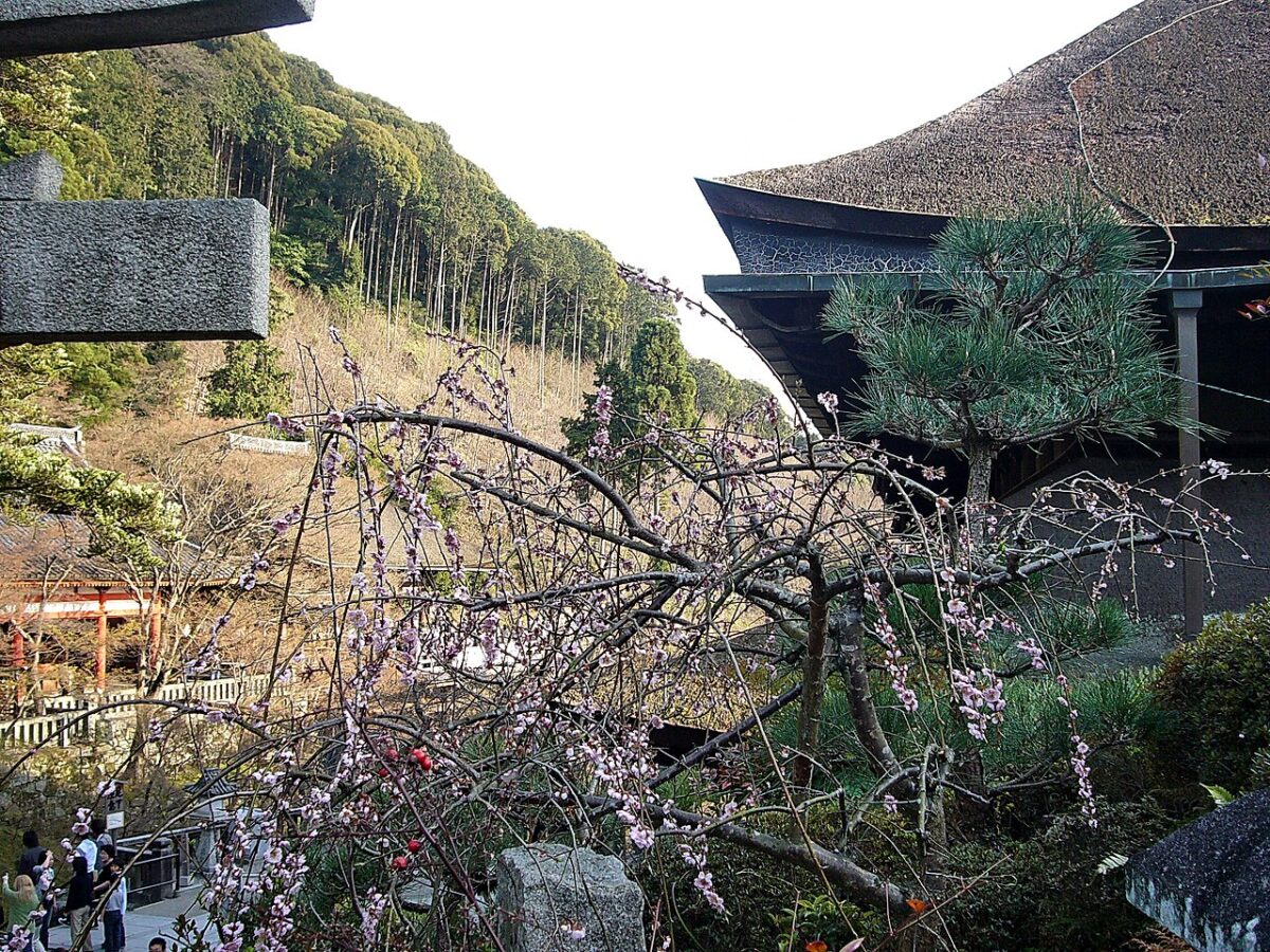 桜の季節の清水寺