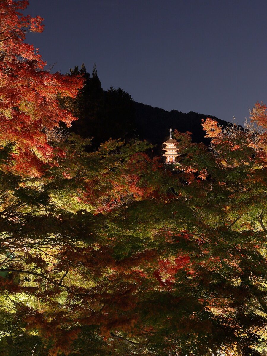 秋の夜間特別拝観