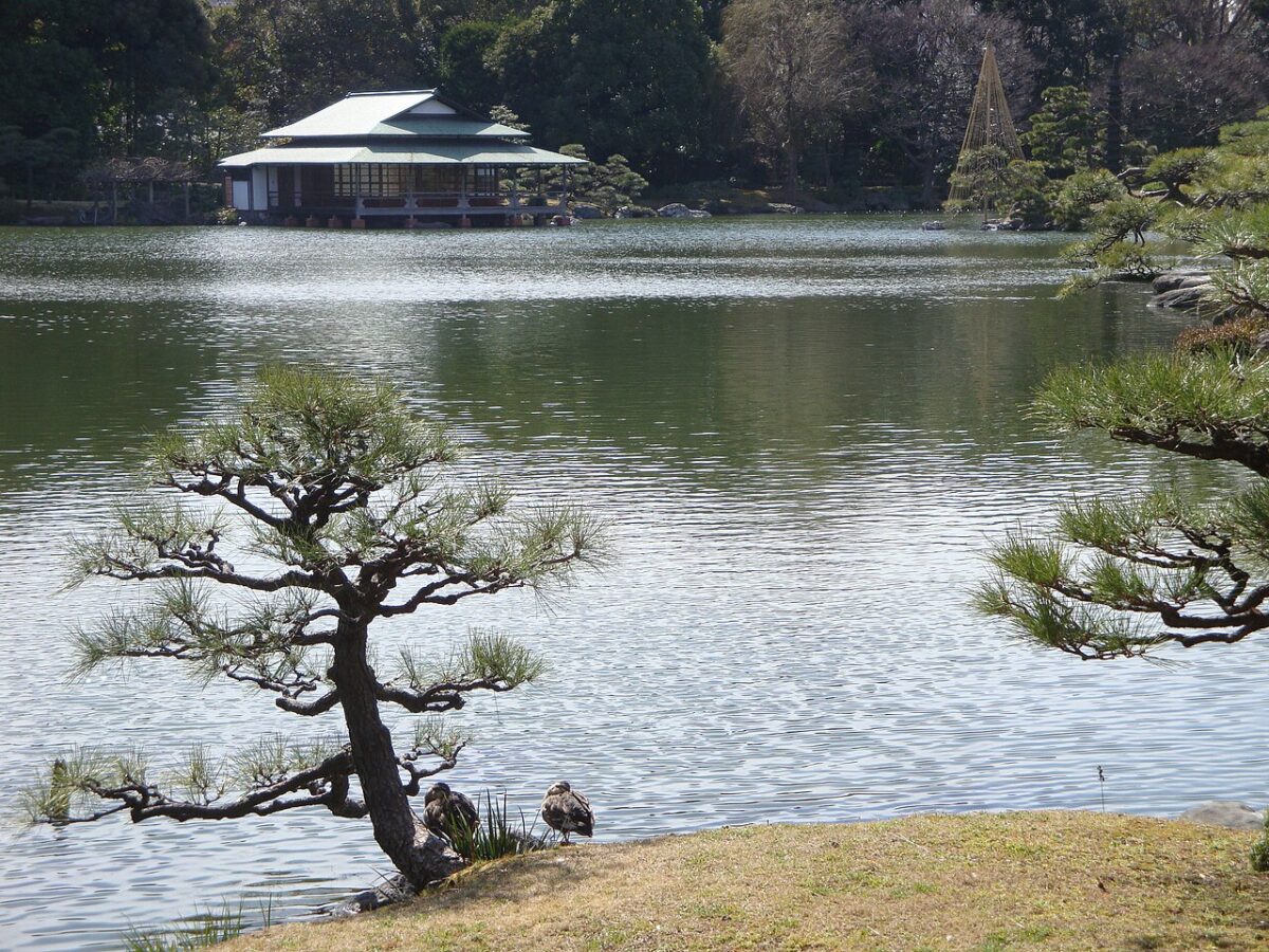 清澄庭園大泉水、池岸與涼亭