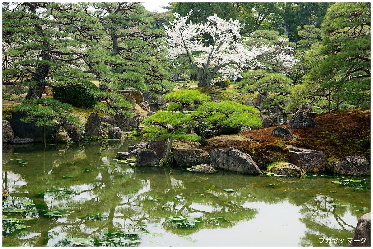 城内の庭園
