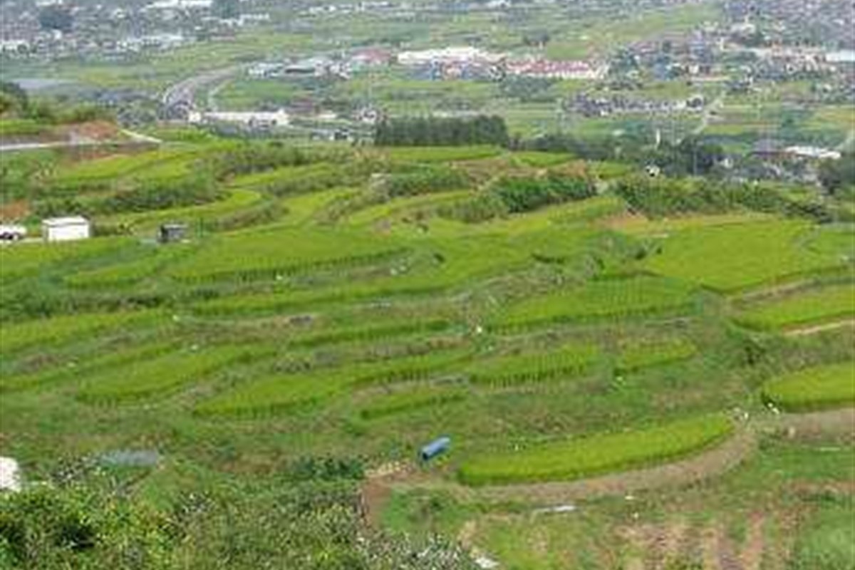 戸倉上山田温泉 美白の湯 荻原館