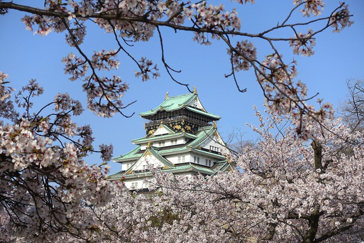 櫻花與大阪城