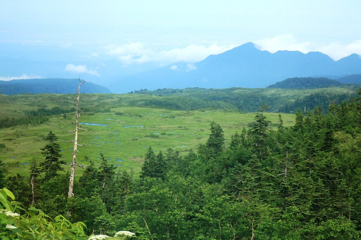 彌陀原