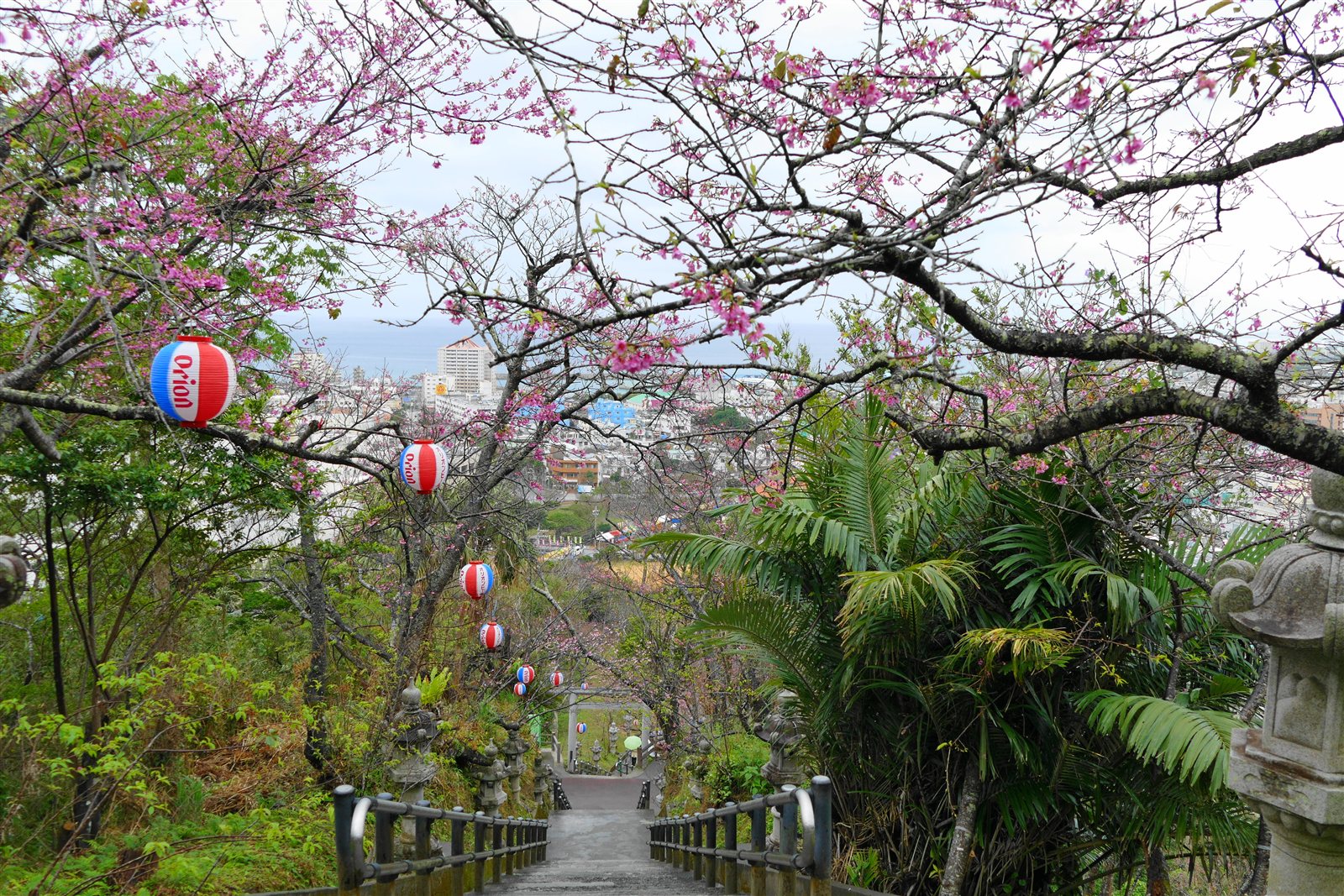 名護城公園