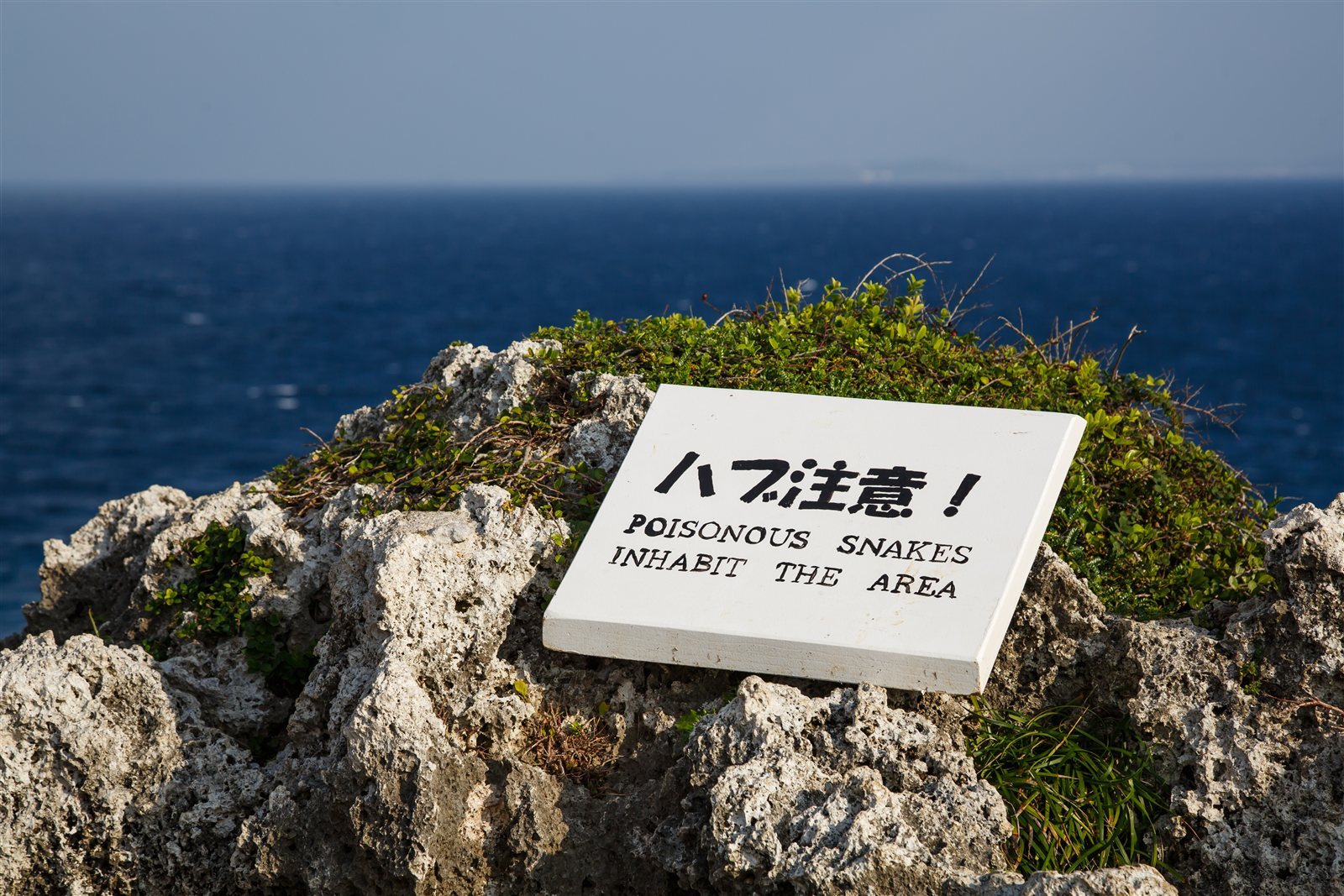 万座毛