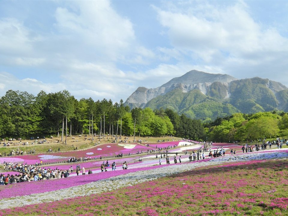 羊山公園