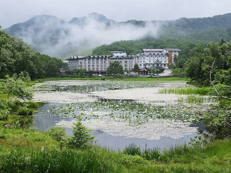 蓮池