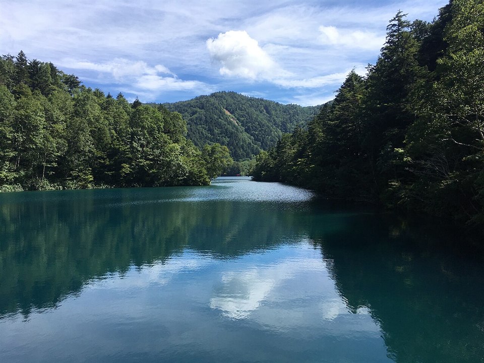 大沼池