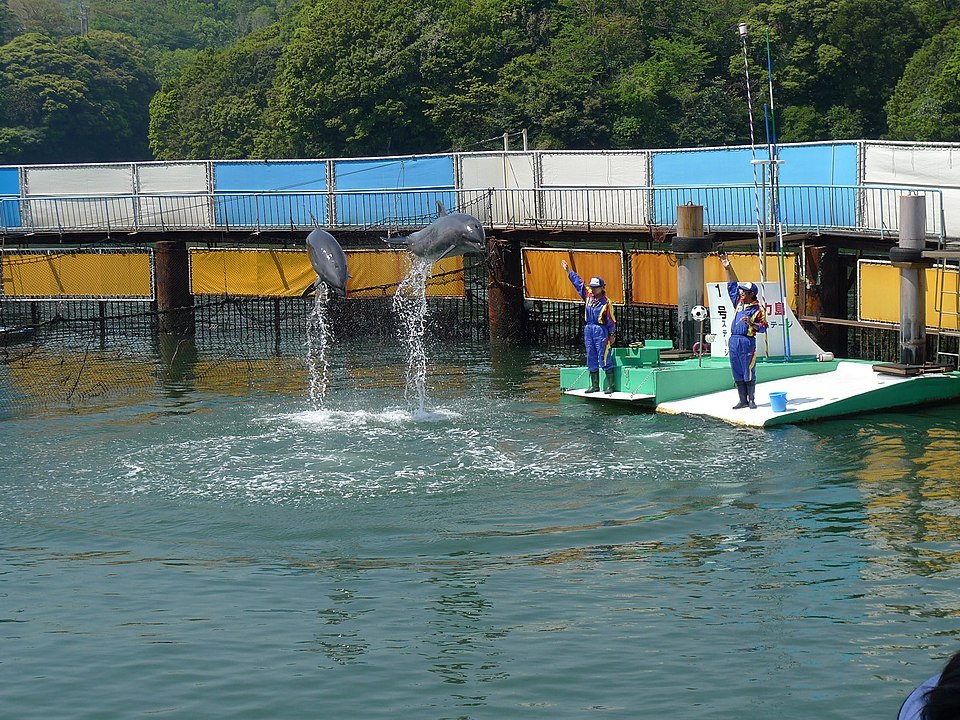 鳥羽湾めぐりとイルカ島