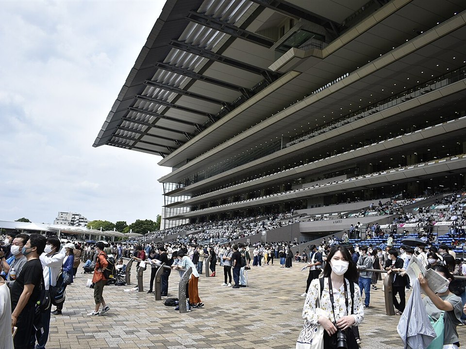 東京競馬場