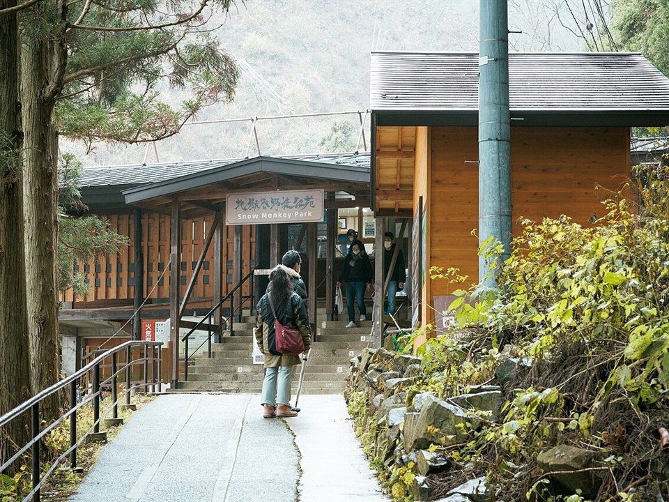 地獄谷野猿公苑