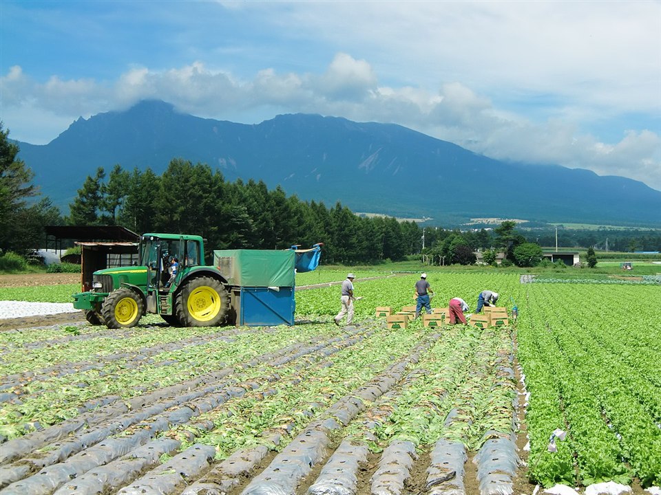 野辺山高原
