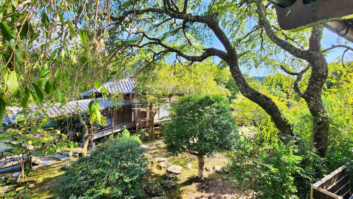 竹林院群芳園 photo