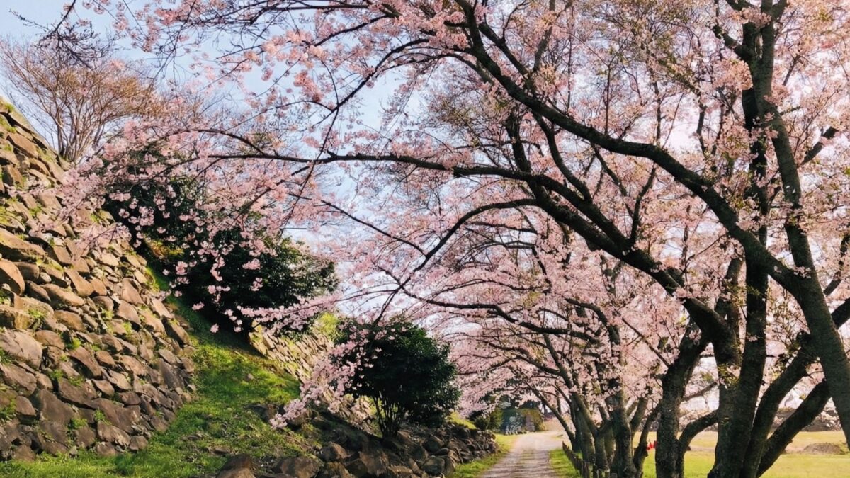 THE TRAILERHOUSE VILLAGE 呼子 SEASIDE photo