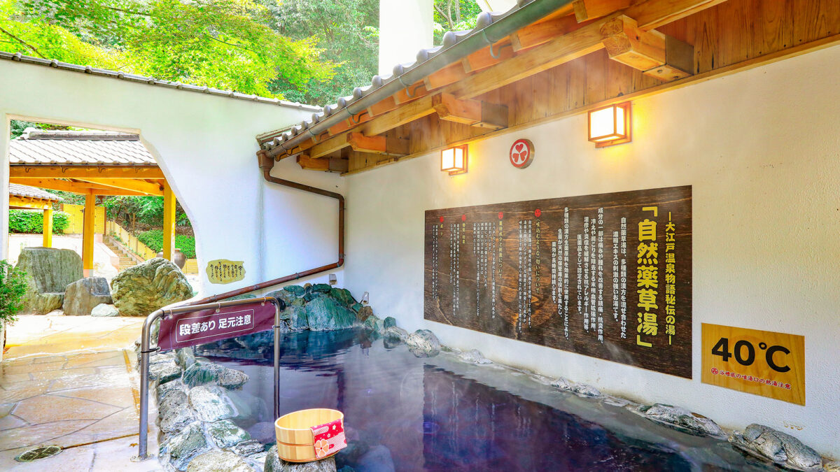 大江戸温泉物語 ホテルレオマの森 photo