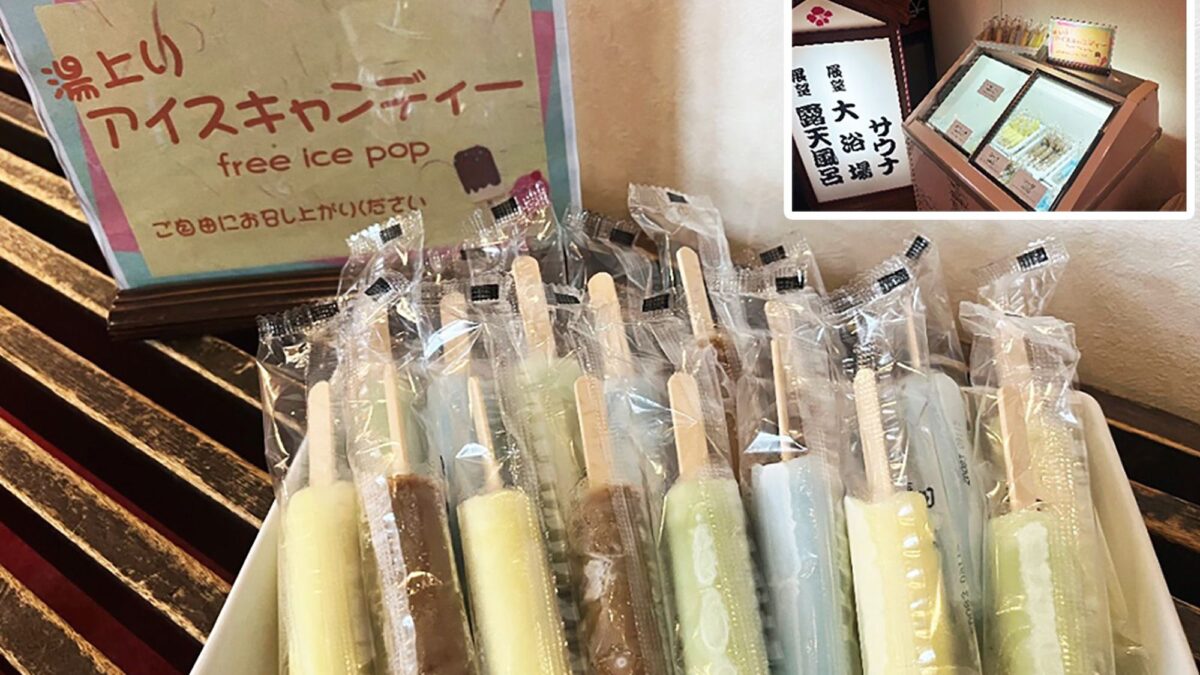 にっしょうかん新館梅松鶴 photo