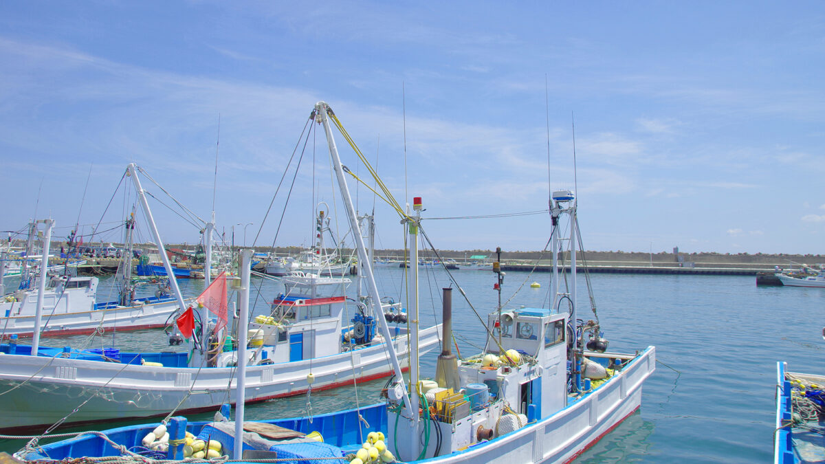 民宿浜野屋 photo