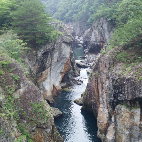 ホテルセレクトイン西那須野駅前 photo