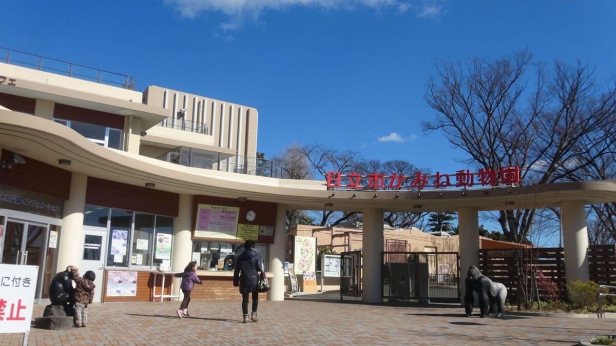KOKO STAY 日立 photo