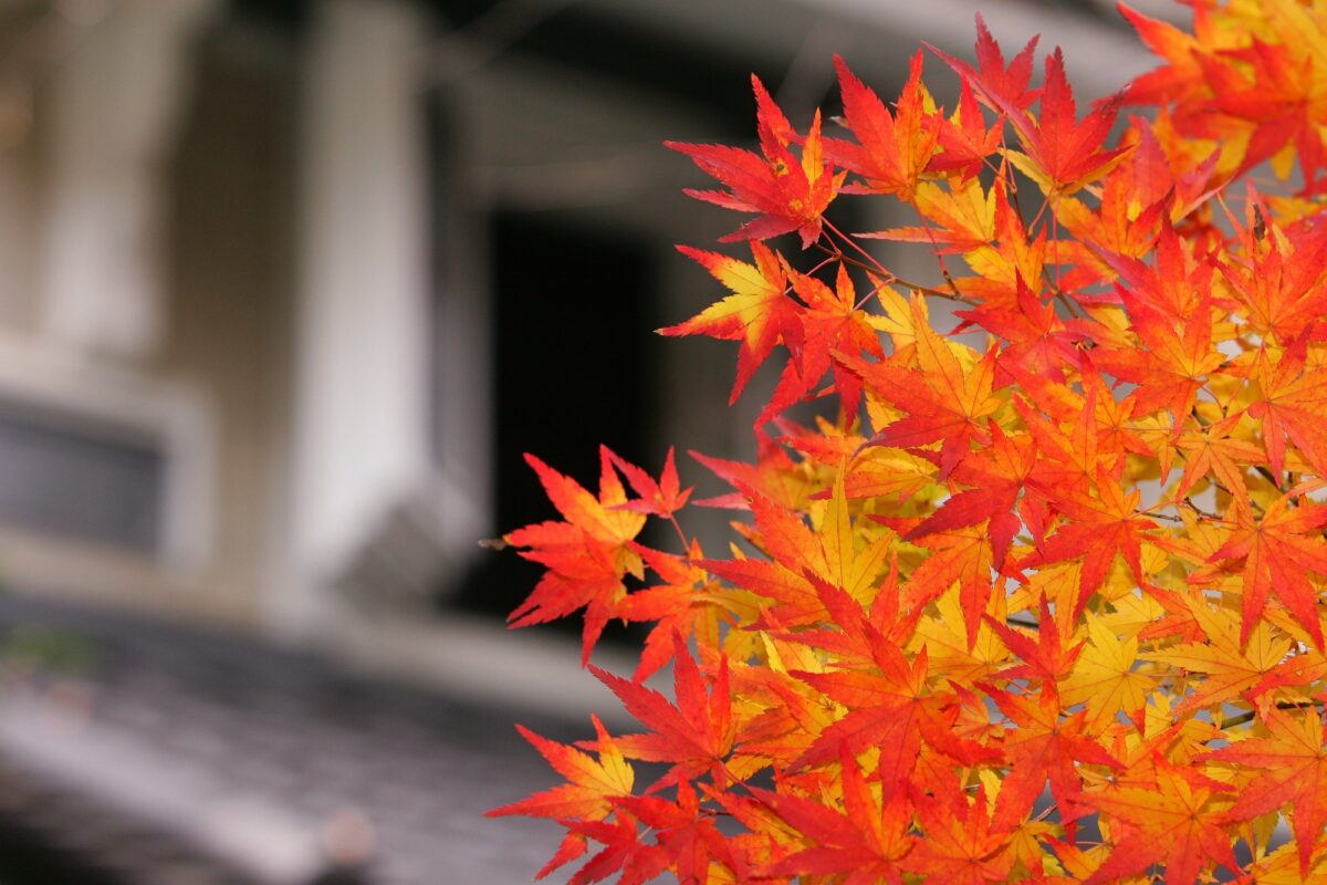 伝承千年の宿 佐勘 photo