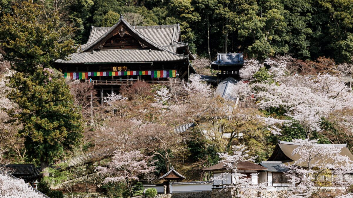 フェアフィールド・バイ・マリオット・奈良天理山の辺の道 photo