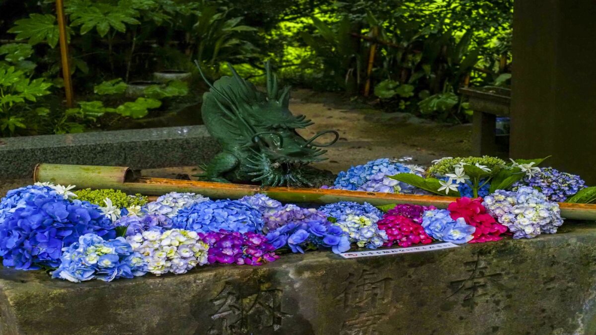 亀の井ホテル 潮来 photo