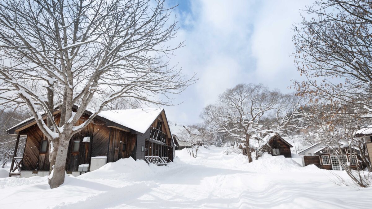 Ｎａｔｕｒｅ Ｃｏｔｔａｇｅ ＡＫＡＢＥＫＯ photo