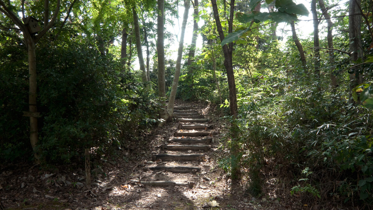 松島佐勘 松庵 / Matsushima Sakan Shoan photo