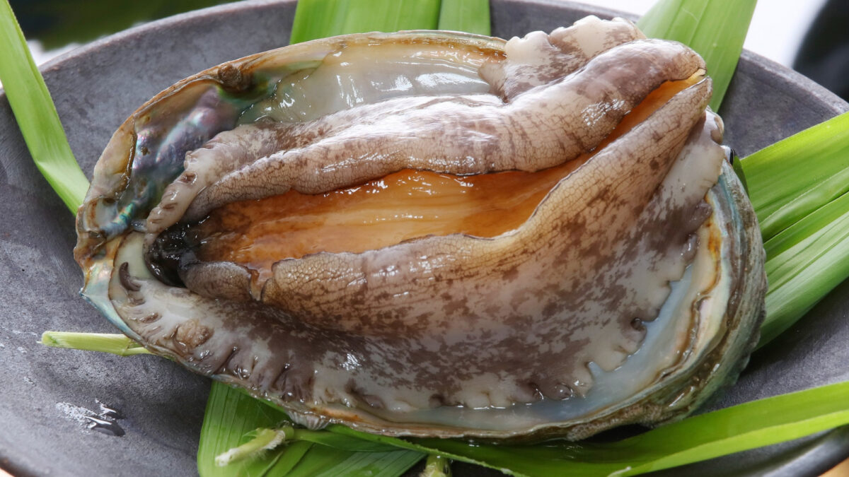 原鶴温泉 泰泉閣 photo