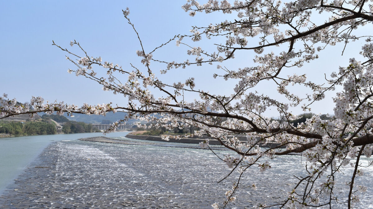 原鶴温泉 泰泉閣 photo