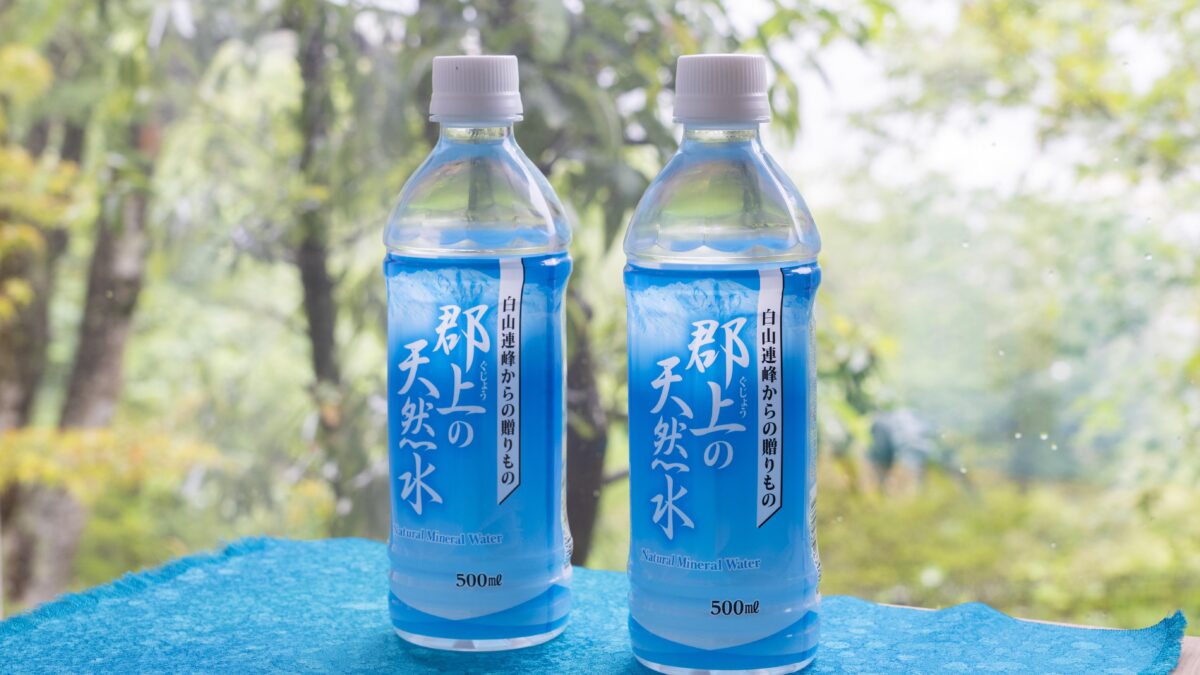 郡上八幡 ホテル積翠園 photo