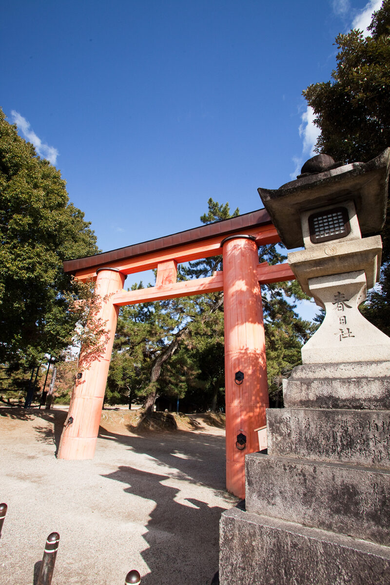 四季亭 photo
