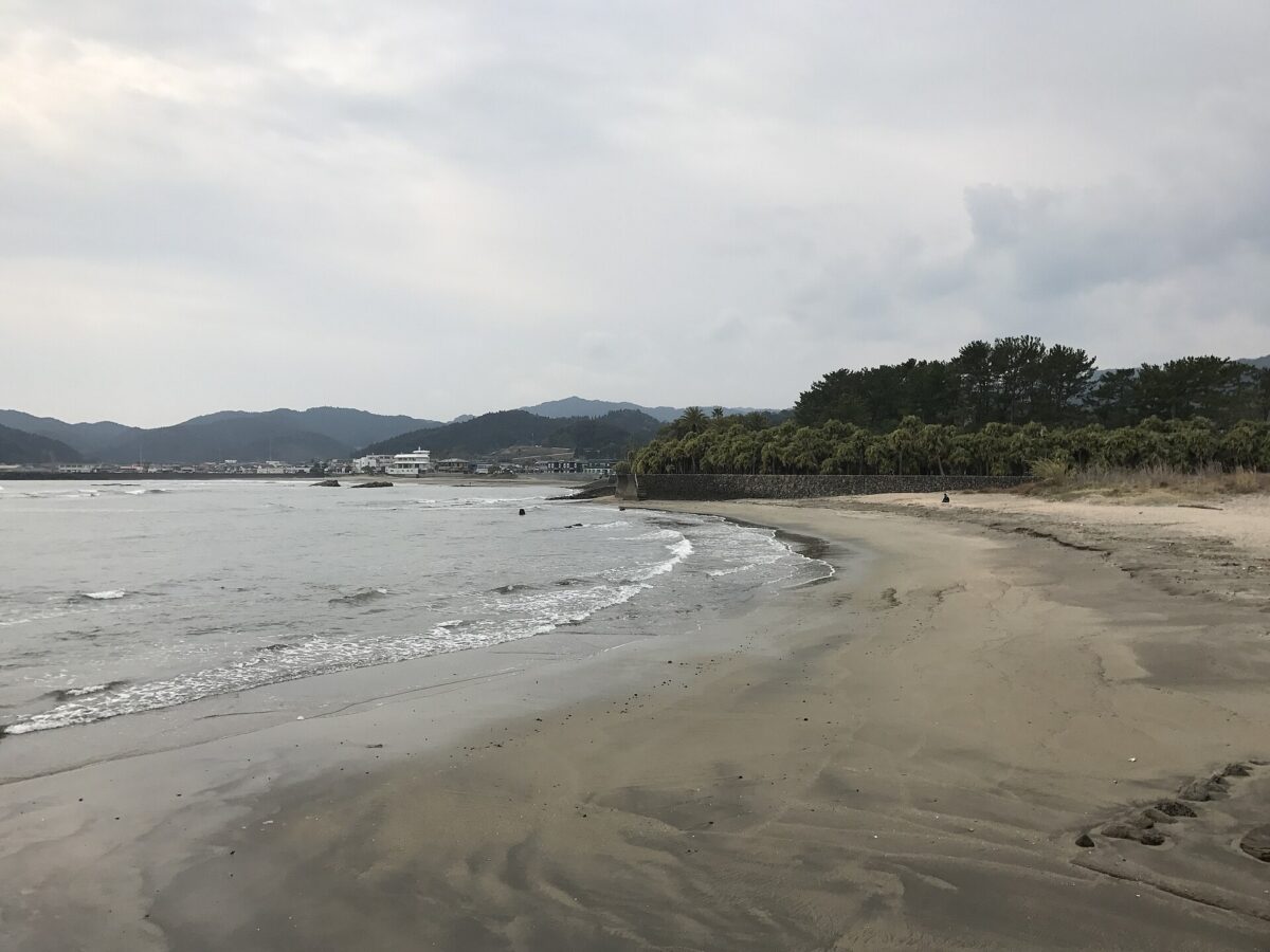 宮交ボタニックガーデン青島