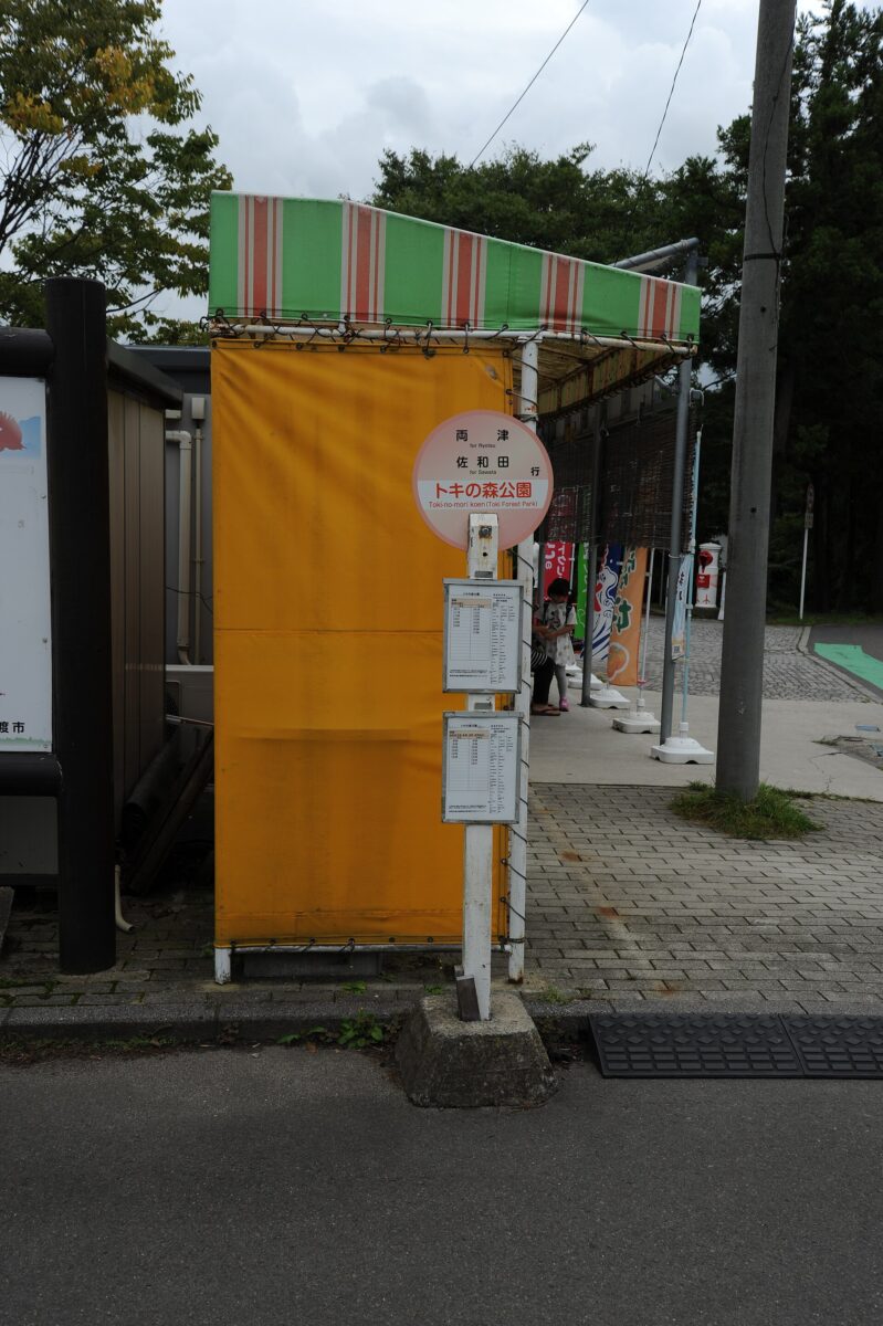 トキの森公園