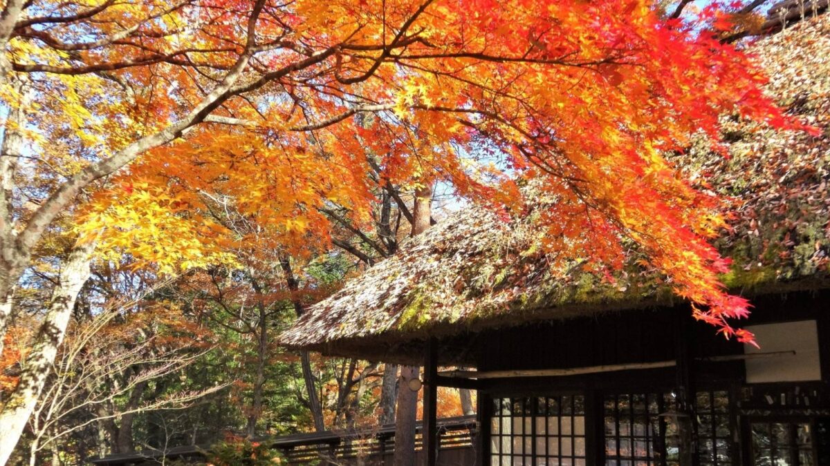 鬼怒川温泉 鬼怒川グランドホテル 夢の季(ゆめのとき) photo