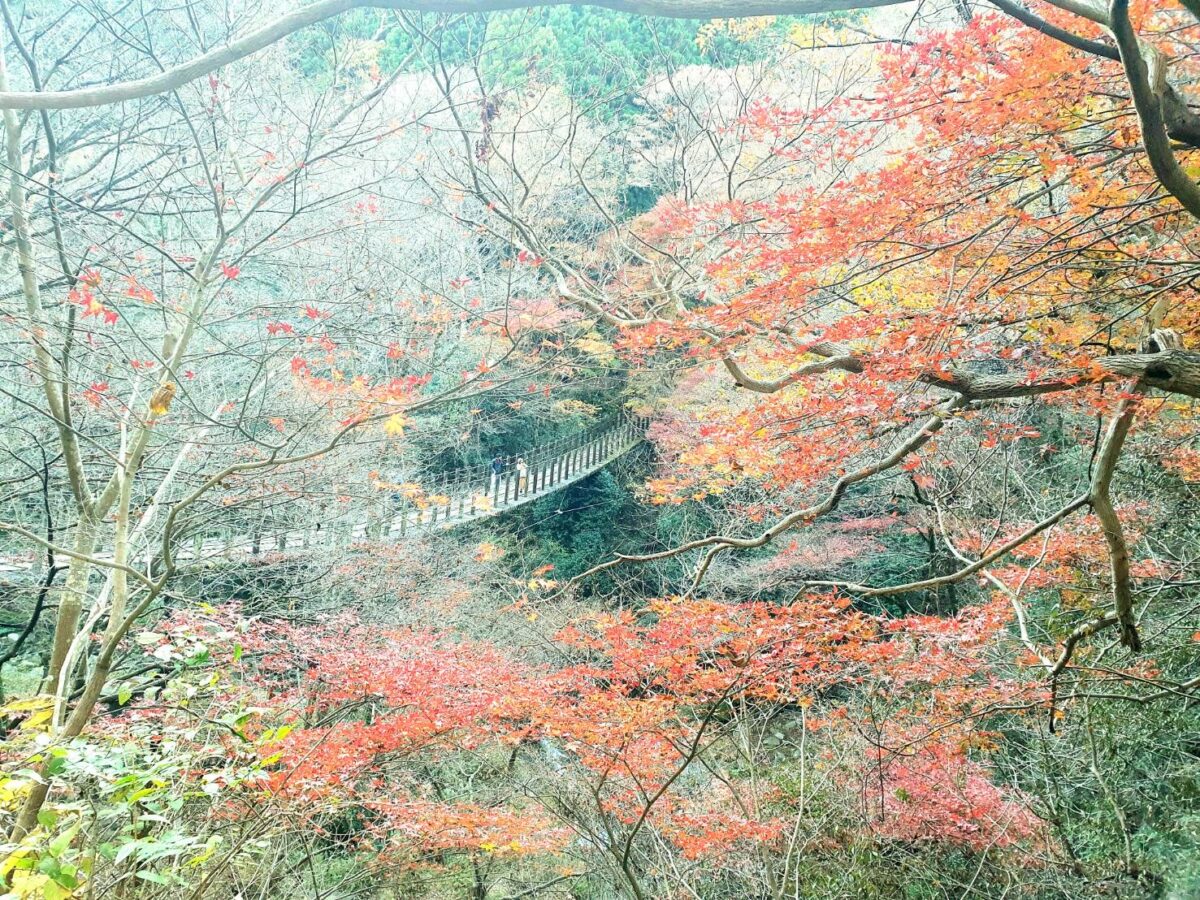ホテルルートイン日立多賀 photo