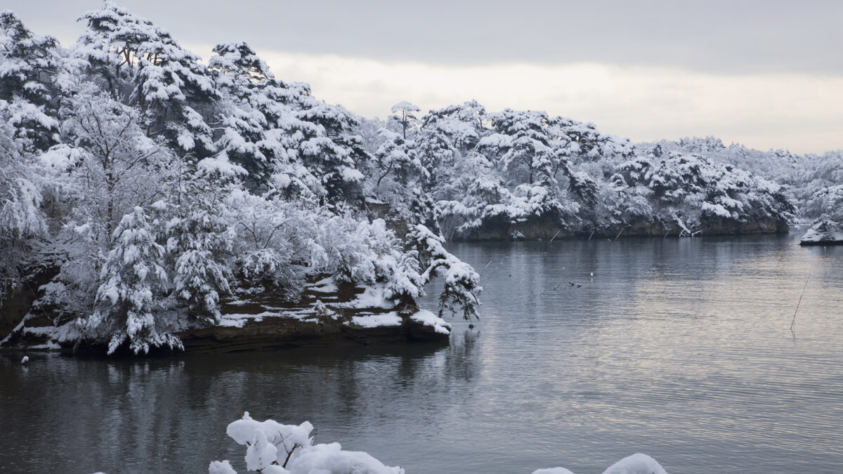 松島佐勘 松庵 / Matsushima Sakan Shoan photo