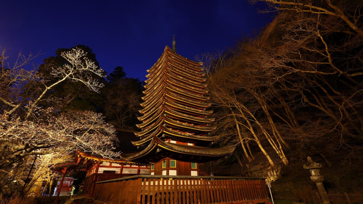 多武峰観光ホテル photo