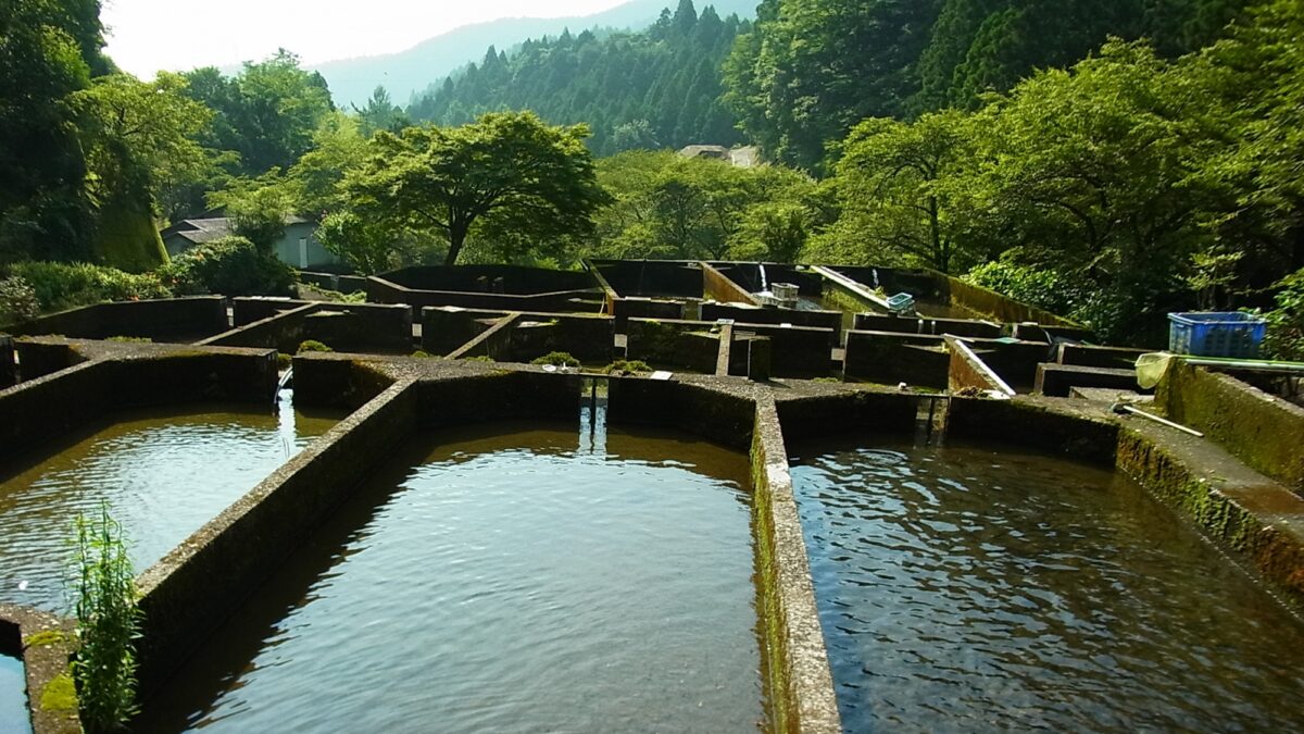 淡水荘 photo