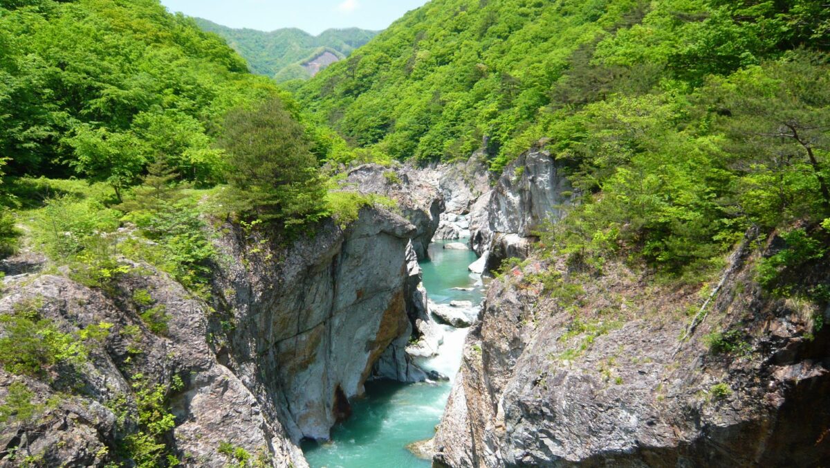 鬼怒川温泉 鬼怒川プラザホテル photo